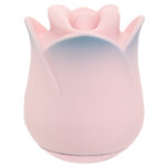 Blush-Kissing-Rose-Vibe