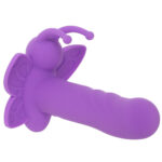 The first rotational vibration of the Venus butterfly