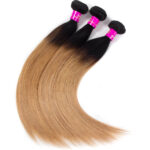 Peruvian Ombre Hair 1B/27 Ombre Blonde Straight Human Hair - Image 3