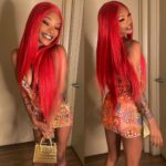 Red Straight HD Lace Front Wig Virgin Human Hair Wigs - Image 3