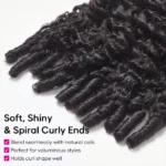 Burmese Curly Wig 6×5 13×6 Lace With Spiral Curly Ends Pull & Go Glueless Human Hair Wig - Image 10
