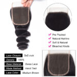 Tinashe Hair 5×5 Lace Closure Loose Wave Human Hair Extensions Brazilian Loose Wave Lace Closure - Image 5
