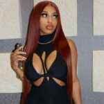 Wear Go Reddish Brown Color Straight/Body Wave 6×5 Pre Cut HD Glueless Lace Human Hair Wig - Image 11