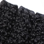 Burmese Curly Hair Weave 3/4 Bundles Raw Human Hair Quality with Spiral Curly Ends - Image 6