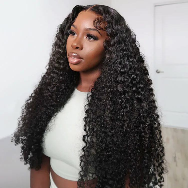 Curly Human Hair 6×5 13×4 HD Lace Front Wig Pre Plucked For Black Women 180% Density Curly Human Hair 6×5 13×4 HD Lace Front Wig Pre Plucked For Black Women 180% Density - Image 1
